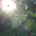 PIC_0043