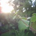 PIC_0044